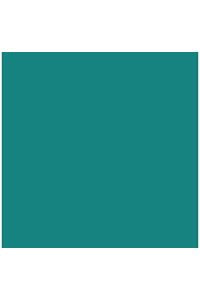 Paq/25 cartulinas iris 50x65 cm. color verde menta 185 g.