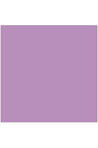 Paq/25 cartulinas iris 50x65 cm. color malva 185 g.