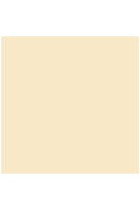 Paq/25 cartulinas iris 50x65 cm. color carne 185 g.