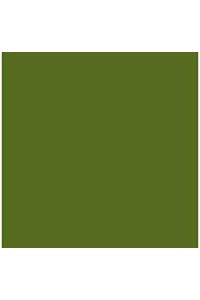 Paq/25 cartulinas iris 50x65 cm. color verde safari 185 g.