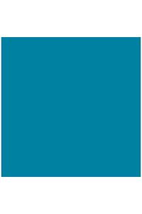 Paq/25 cartulinas iris 50x65 cm. color azul caribe 185 g.