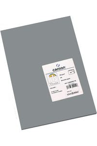 Paq/50 cartulinas a4 plomo iris