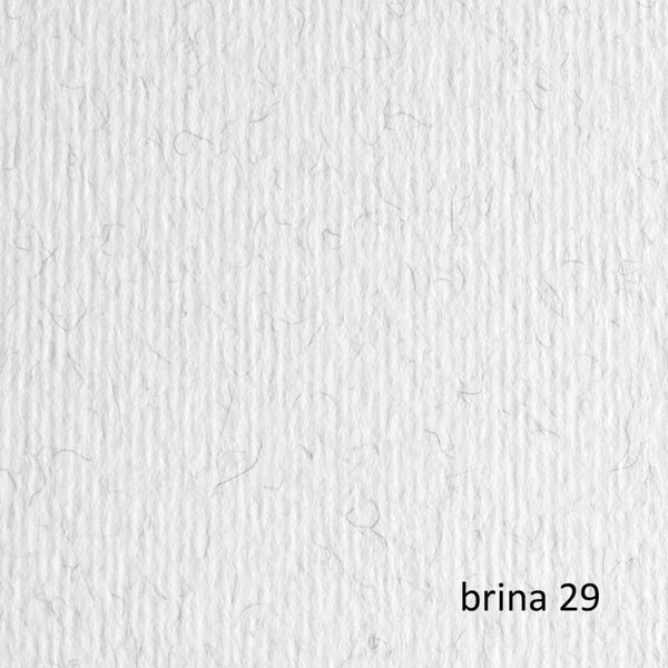 PAQ/20 CARTULINA LISO/RUGOSO 50X70 220G BRINA SURTIDO