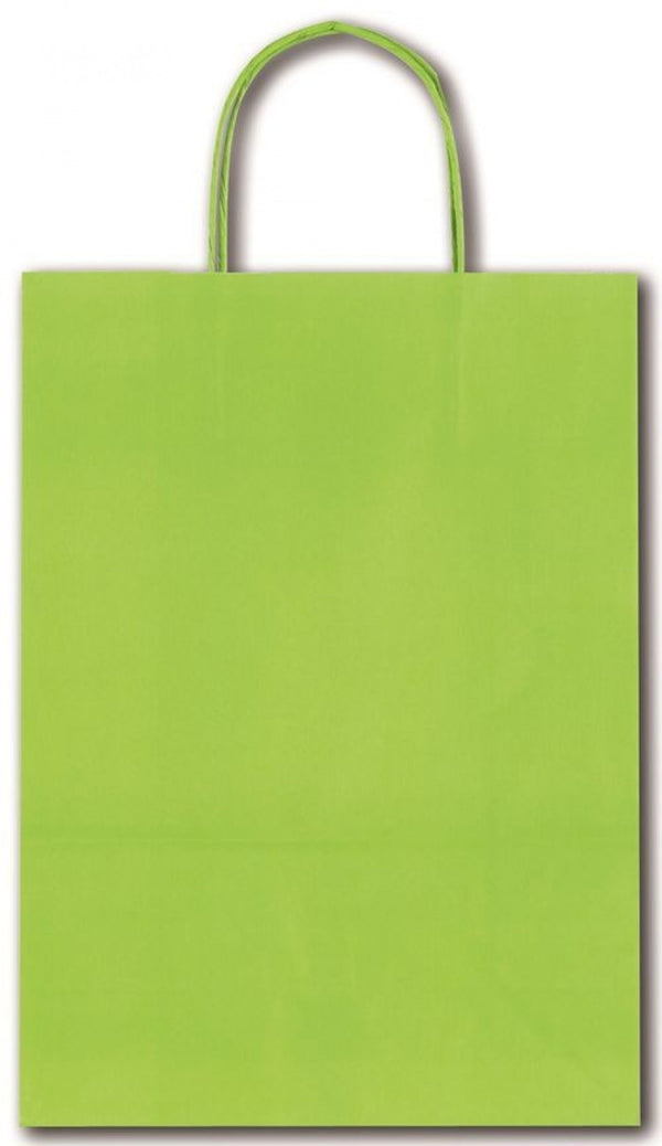 PAQ/25 BOLSAS KRAFT ALLEGRA COLOR VERDE LIMA 26X12X36CM