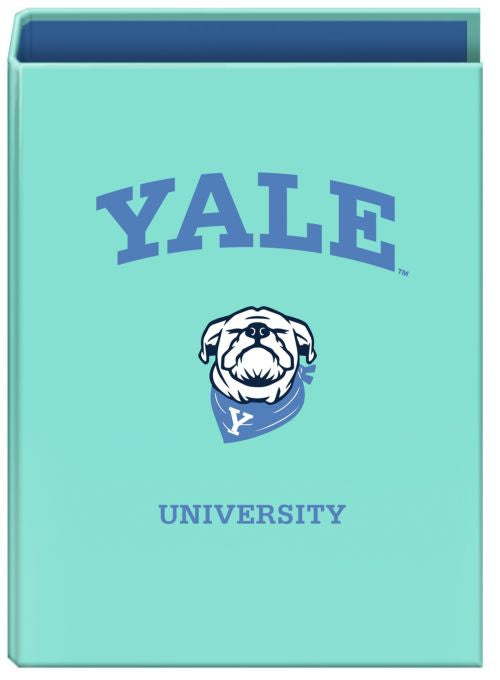 CARPETA Fº 4 ANILLAS 40MM YALE DOG