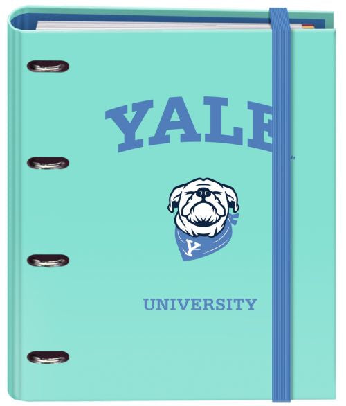 CARPEBLOC A4 4 ANILLAS 35MM CON RECAMBIO YALE DOG