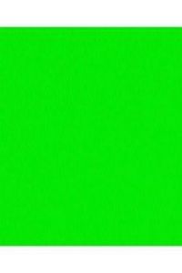 Paq 25 cartulinas iris 50x65 cm. color verde fluo 235 g.