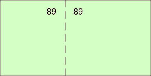 PAQ/20 TALONARIO DE CAJA T29 10,7X5CM COLOR VERDE