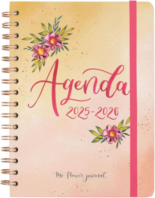 AGENDA ESCOLAR 25-26 T.JOURNEY ROSA E10 SVH