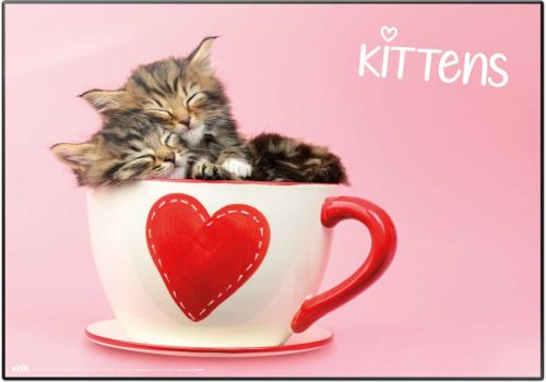 VADE ESCOLAR CATS SIMON K &.GREG C