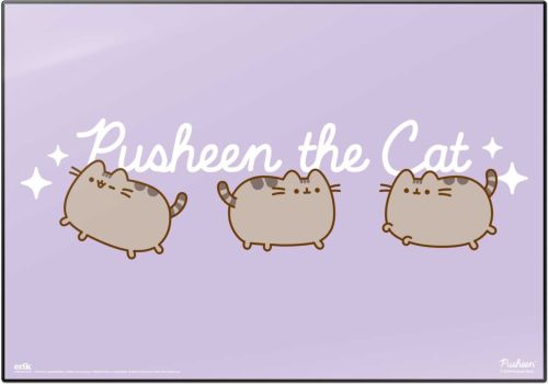 VADE ESCOLAR PUSHEEN MOMENTS