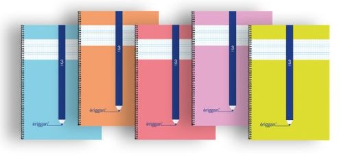 Paq/10 cuaderno espiral 4º 40h 70g 3mm cuadrovia tapa básica eriggan