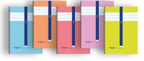 Paq/10 cuaderno espiral fº 40h 80g 3mm cuadrovia tapa básica eriggan