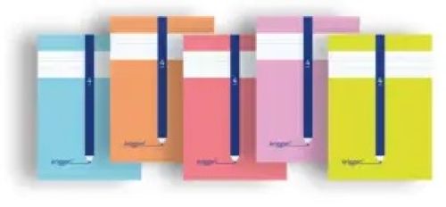 Paq/10 libreta grapada a4 50h 70g cuadrovia 4mm eriggan